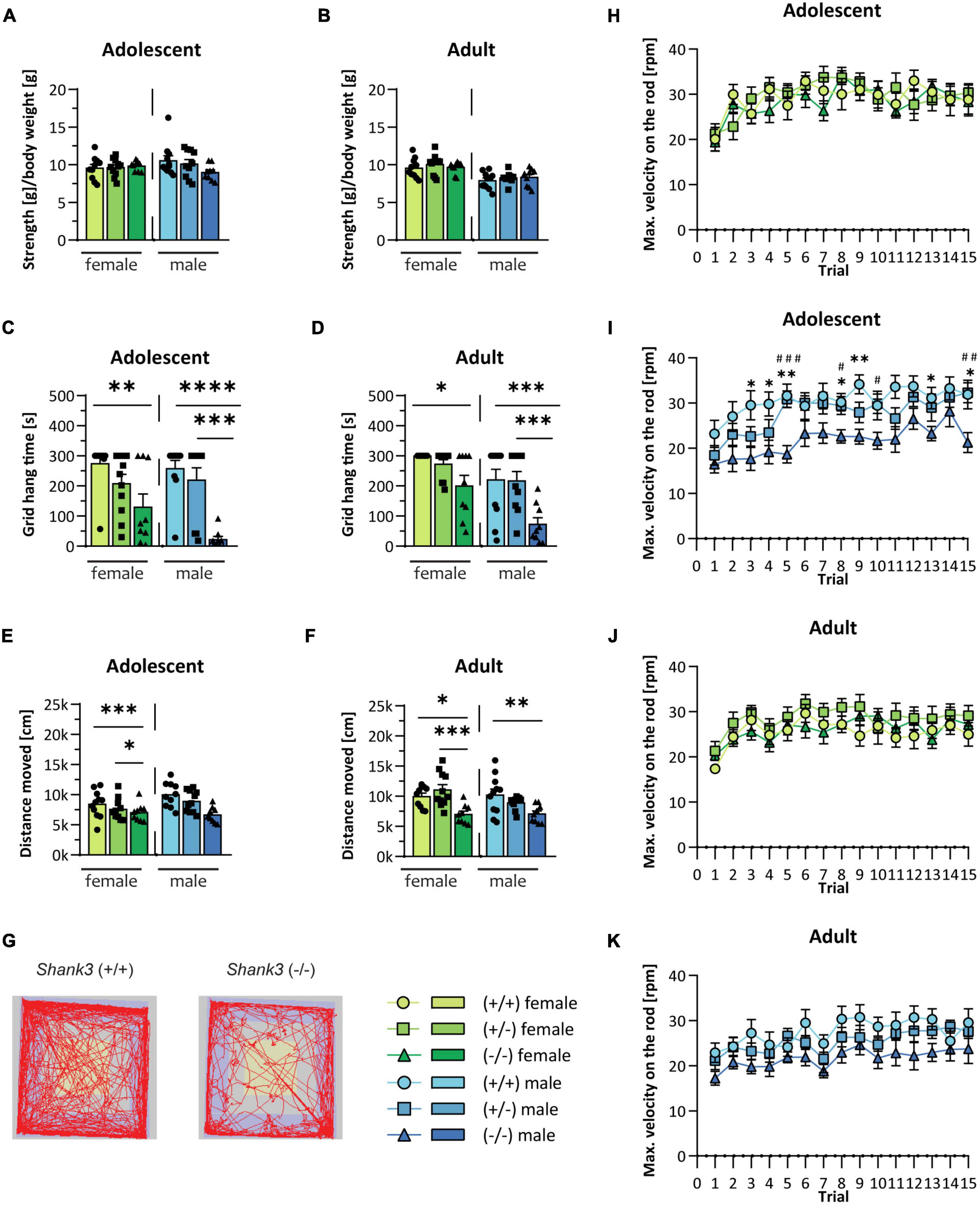 Development of sex- and genotype-specific behavioral phenotypes in a Shank3 mouse model for neurodevelopmental disorders